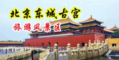 波多野结衣在办公室内射中国北京-东城古宫旅游风景区